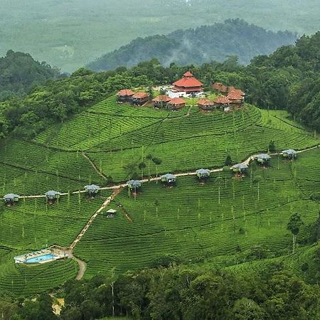Wild Planet Jungle Resort Devāla Exteriör bild