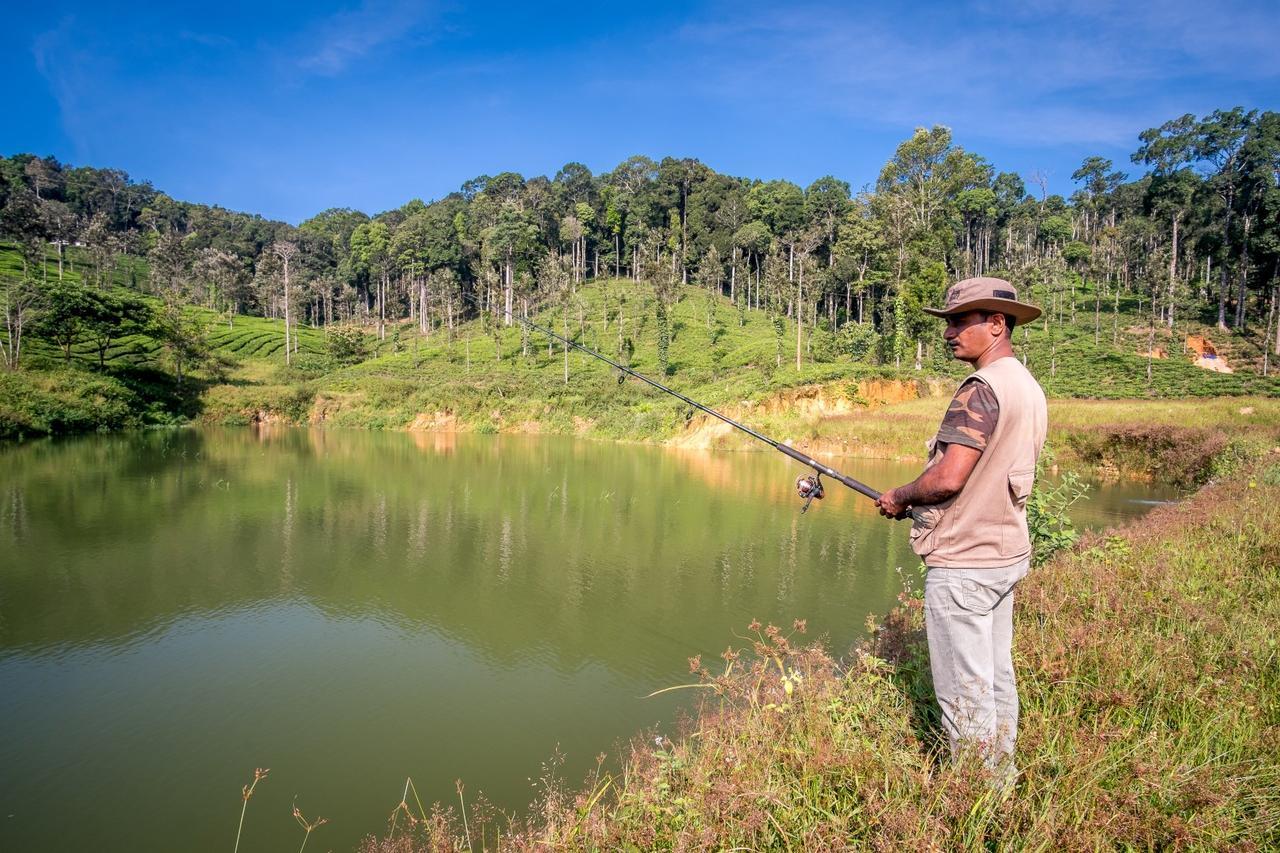 Wild Planet Jungle Resort Devāla Exteriör bild