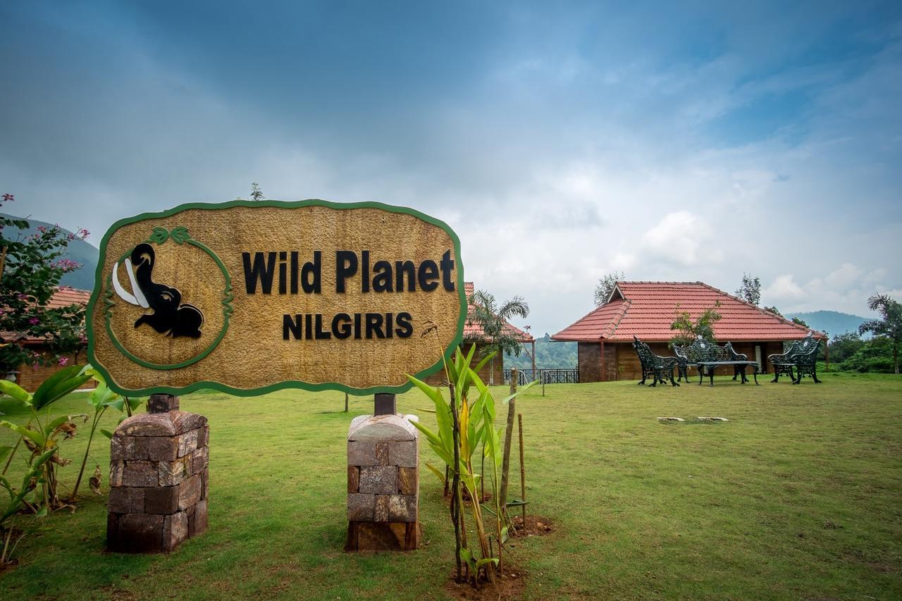 Wild Planet Jungle Resort Devāla Exteriör bild