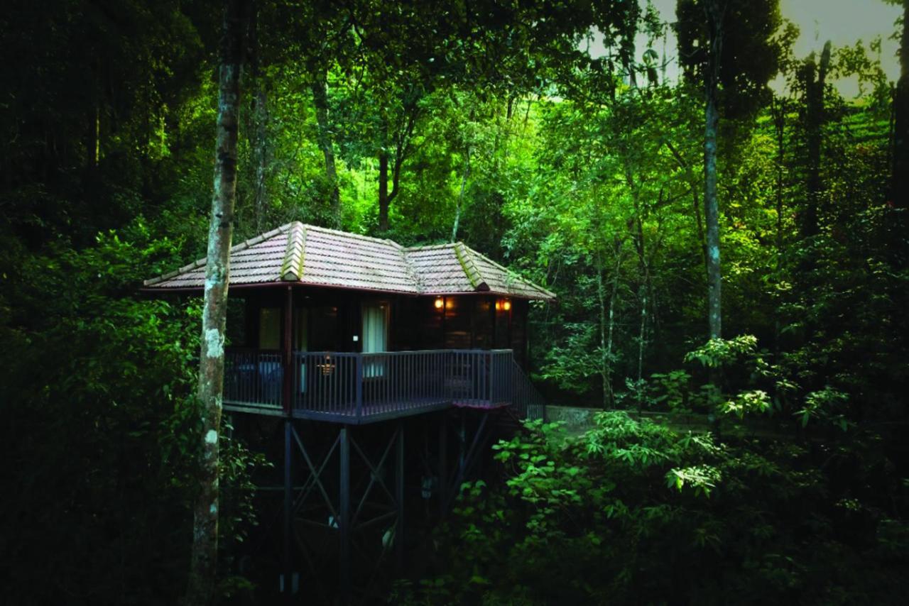 Wild Planet Jungle Resort Devāla Exteriör bild