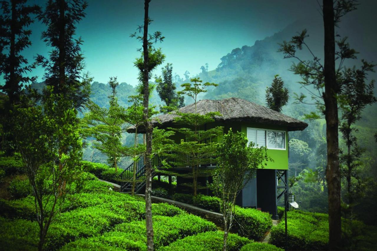 Wild Planet Jungle Resort Devāla Exteriör bild